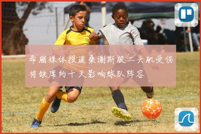 希腊媒体报道桑谢斯股二头肌受伤将缺席约十天影响球队阵容