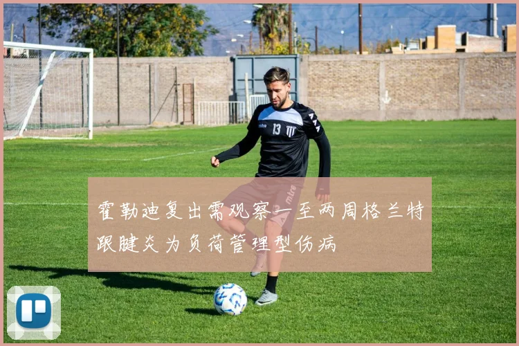 霍勒迪复出需观察一至两周格兰特跟腱炎为负荷管理型伤病