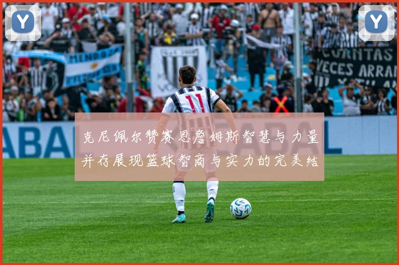 克尼佩尔赞赛恩詹姆斯智慧与力量并存展现篮球智商与实力的完美结合
