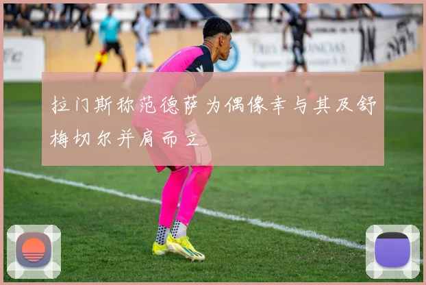 拉门斯称范德萨为偶像幸与其及舒梅切尔并肩而立